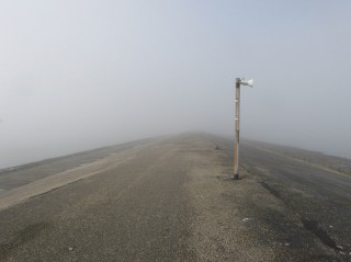 NL