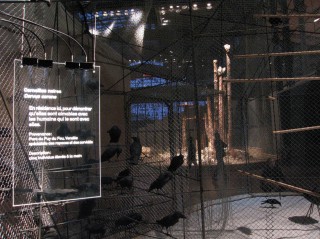 Villette-4